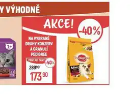 Globus Pedigree granule pro psy nabídka