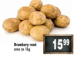 Qanto Brambory rané cena za 1kg nabídka