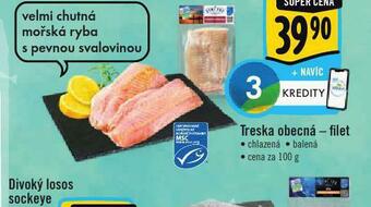 Albert Treska obecná - filet nabídka