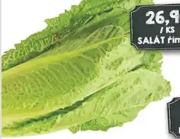 Jip SALÁT římský nabídka