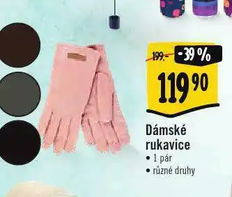 Albert Dámské rukavice nabídka