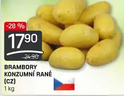 Flop BRAMBORY KONZUMNÍ RANÉ nabídka
