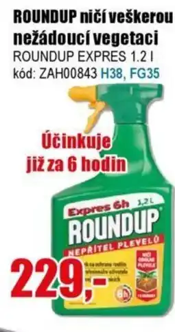 EVA ROUNDUP ničí veškerou nežádoucí vegetaci nabídka