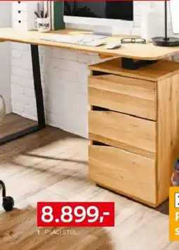 XXXLutz PSACÍ STÚL nabídka