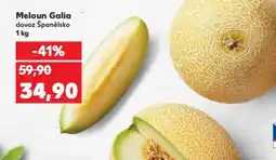 Kaufland Meloun Galia nabídka