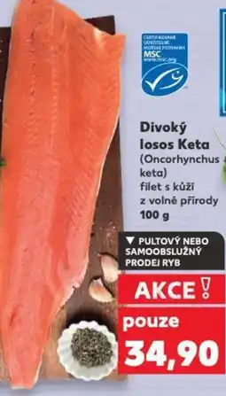 Kaufland Divoký losos Keta nabídka