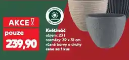 Kaufland Květináč nabídka