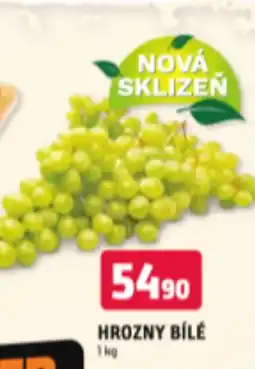 Terno HROZNY BÍLÉ nabídka