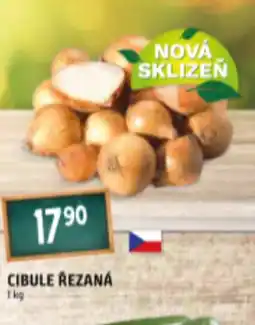 Terno CIBULE ŘEZANÁ nabídka