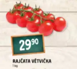 Terno RAJČATA VĚTVIČKA nabídka