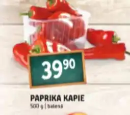 Terno PAPRIKA KAPIE 500 g nabídka