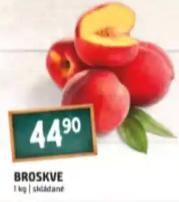 Terno BROSKVE nabídka