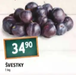 Terno ŠVESTKY nabídka