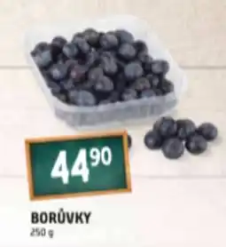 Terno BORŮVKY 250 g nabídka
