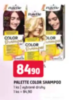 Terno PALETTE COLOR SHAMPOO nabídka