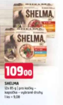 Terno SHELMA nabídka