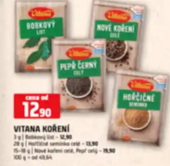 Terno VITANA KOŘENÍ nabídka