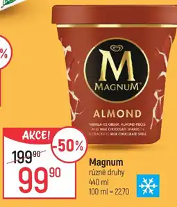 Globus Magnum nabídka
