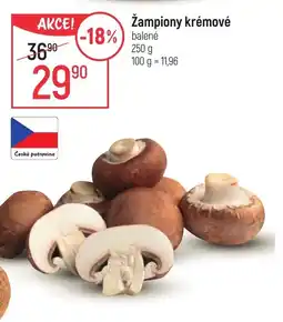 Globus Žampiony krémové nabídka