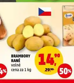 Penny Market Brambory rané nabídka
