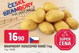 Trefa BRAMBORY KONZUMNÍ RANÉ 1 kg nabídka