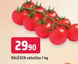 Trefa RAJČATA větvička 1 kg nabídka