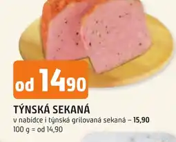 Trefa TÝNSKÁ SEKANÁ nabídka