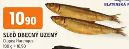 Trefa SLEĎ OBECNÝ UZENÝ nabídka
