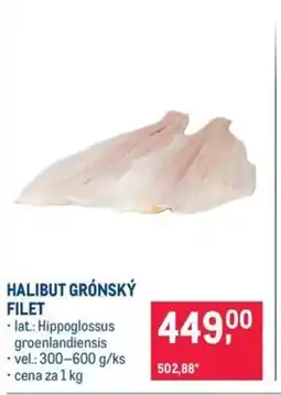 Makro HALIBUT GRÓNSKÝ FILET nabídka