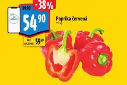 Albert Paprika červená nabídka
