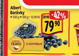 Albert Borůvky nabídka
