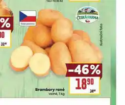 Billa Brambory rané nabídka