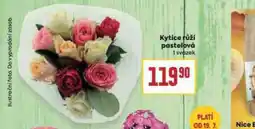 Billa Kytice růží pastelová nabídka