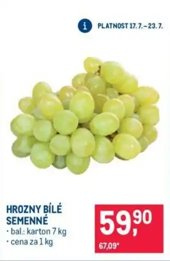 Makro HROZNY BÍLÉ SEMENNÉ nabídka