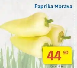 Kubík potraviny Paprika Morava nabídka