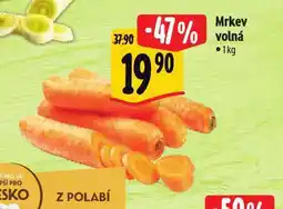 Albert Mrkev volná nabídka