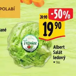 Albert Salát ledový nabídka
