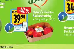 Albert Bio nektarinky nabídka