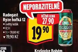 Albert Pivo radegast ryze hořká 12 nabídka