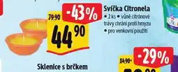 Albert Svíčka citronela nabídka
