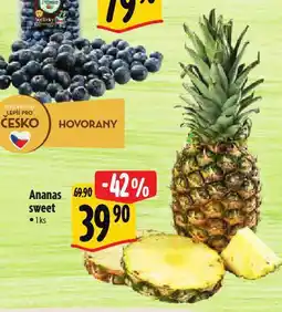 Albert Ananas nabídka