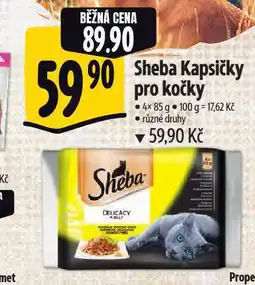Albert Sheba kapsičky pro kočky nabídka