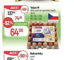 Globus Vejce m 30 ks nabídka