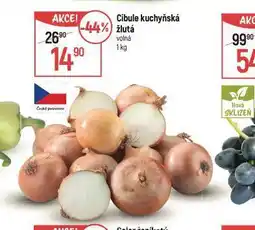 Globus Cibule kuchyňská žlutá nabídka