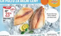 Globus Tilápie nilská nabídka
