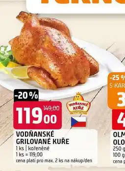 Terno Vodňanské grilované kuře nabídka
