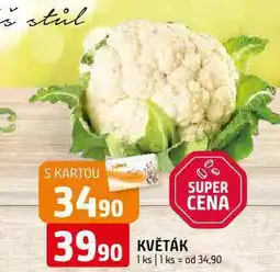 Terno Květák nabídka
