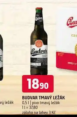 Terno Pivo budvar nabídka