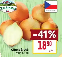 Billa Cibule žlutá nabídka