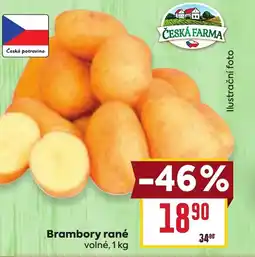 Billa Brambory rané nabídka